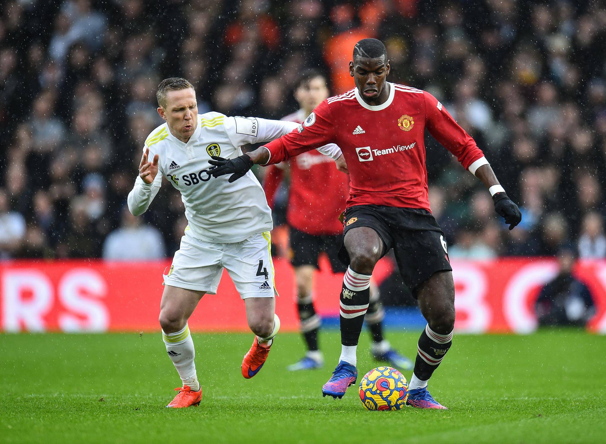 特依赖现象 特依赖现象